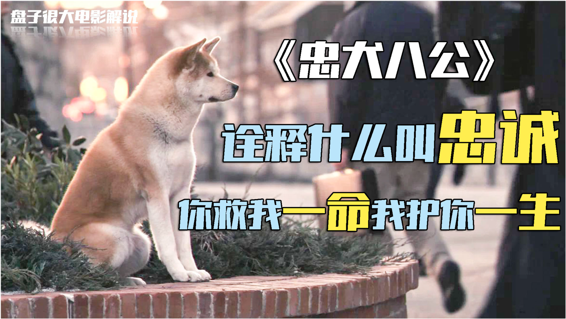 梦境回溯，以童真之心，与忠诚伴侣共步——解析梦见变回小孩抱狗行走的深层含义