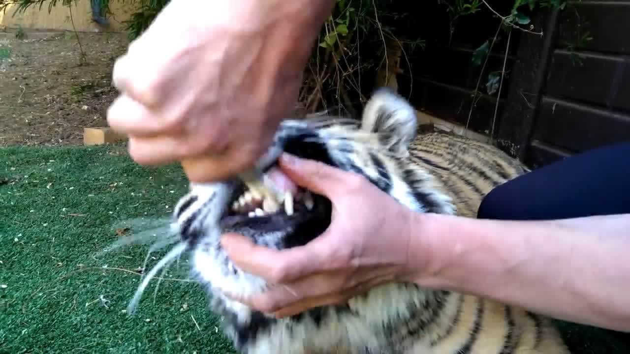 0?fmt=jpg&size=70&h=720&w=1280&ppv=1