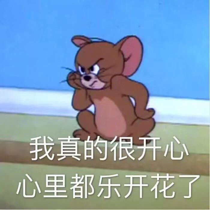 表情包:在忙 有事等下说!