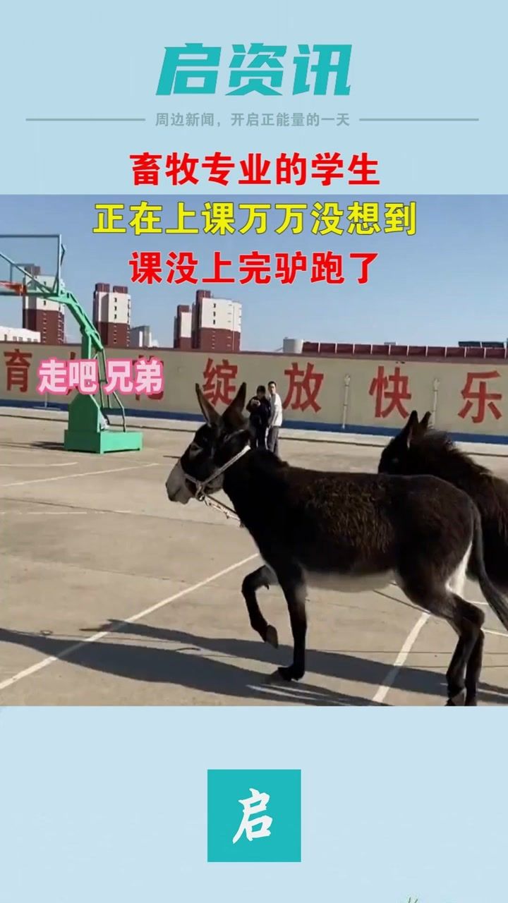 梦境疾驰，解读梦见骑着驴奔跑的深层含义