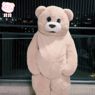 沙雕熊猫表情包跳舞小熊