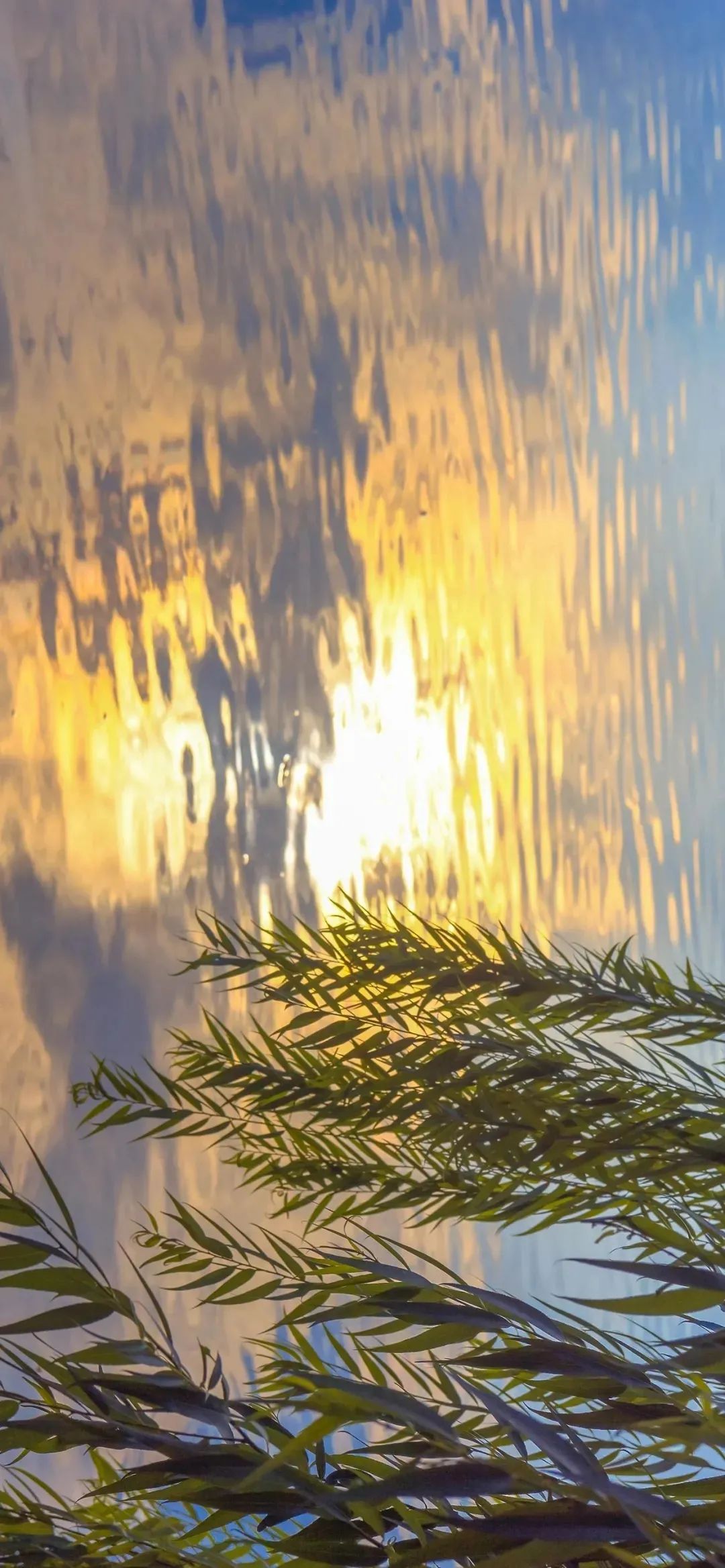 Oct 17th 壁纸 文艺 复古 风景 天天要闻