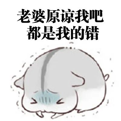 搞笑表情包想要这样会道歉的老公