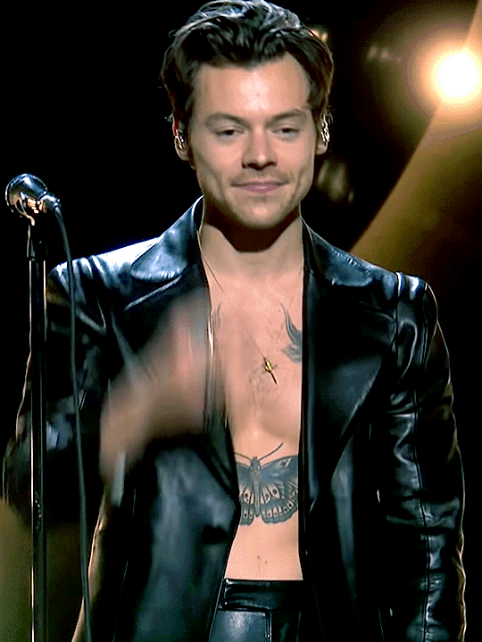 harry styles