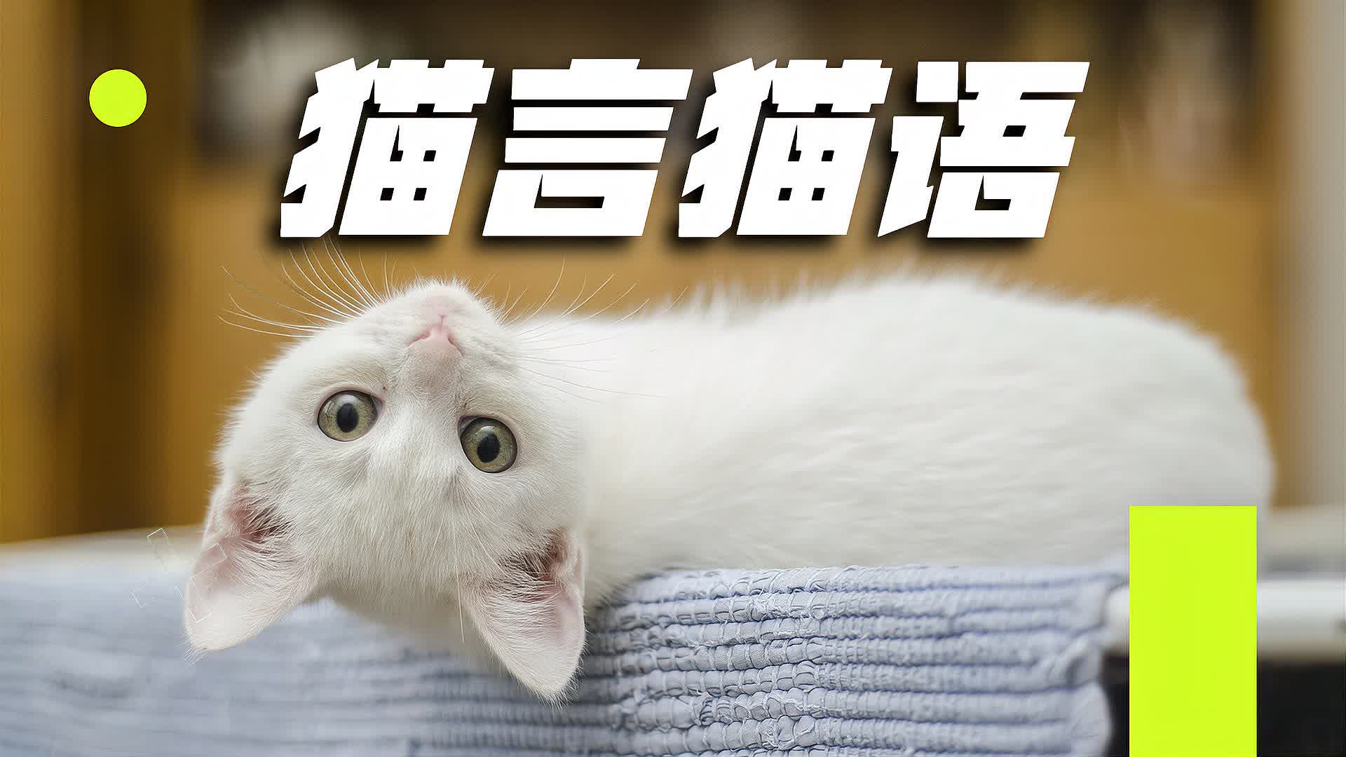 0?fmt=jpg&size=107&h=1080&w=1920&ppv=1