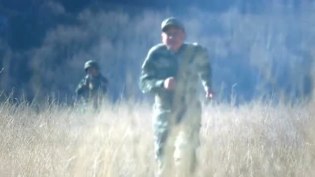 遗忘的边界，为何明明不去想，夜晚仍梦回往昔