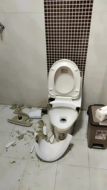 马桶恶搞视频70，