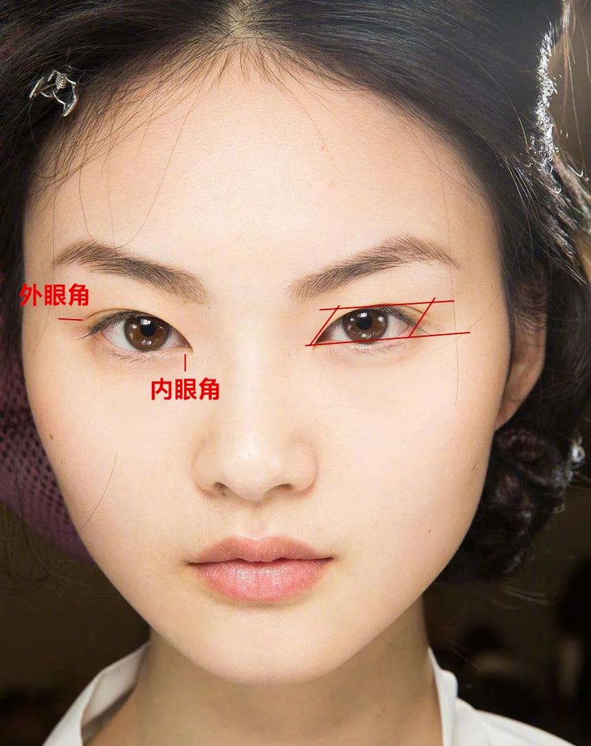 桃花眼,眼型,狐狸,丹凤眼,桃花,柳叶眼,凤眼,眼角,双眼皮
