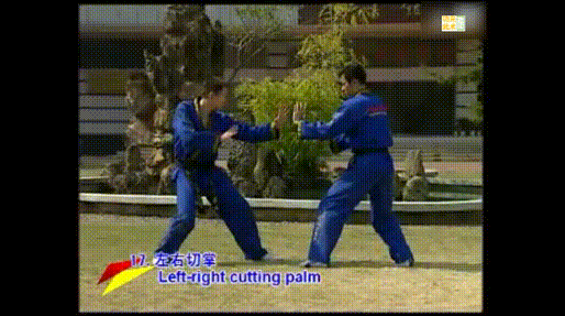 ���ֱ���������_���ֱ�����_����ǿ��ȫ���Ķ�һ