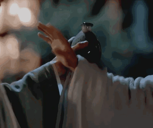 《山河令》即将上线网飞,评论区网友争议不断,耽改剧适合输出吗