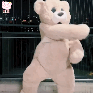 沙雕熊猫表情包跳舞小熊