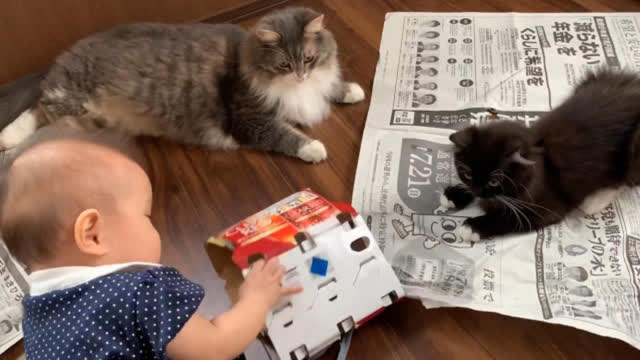 0?fmt=jpg&size=32&h=360&w=640&ppv=1