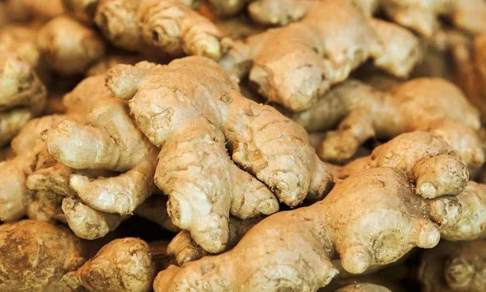 0?fmt=jpg&size=66&h=600&w=1000&ppv=1