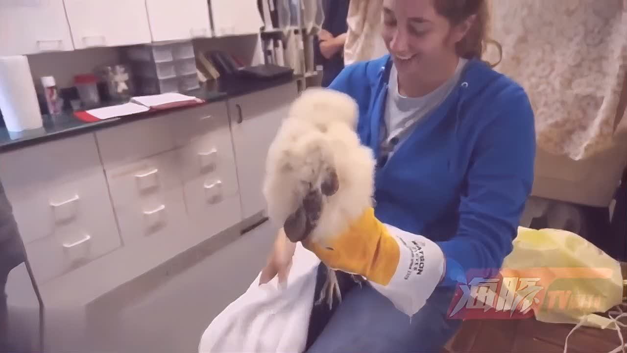 0?fmt=jpg&size=45&h=720&w=1280&ppv=1