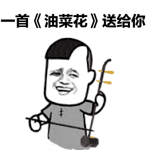 油菜花,就是要大片大片才好看正是北方金色油菜花盛放的好时节五月