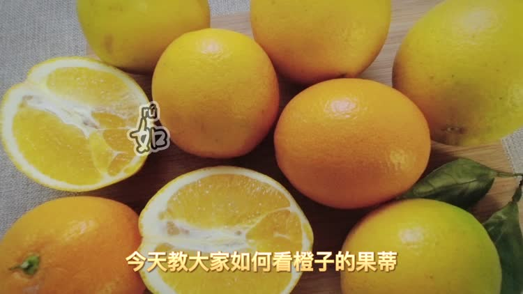 0?fmt=png&size=425&h=422&w=750&ppv=1