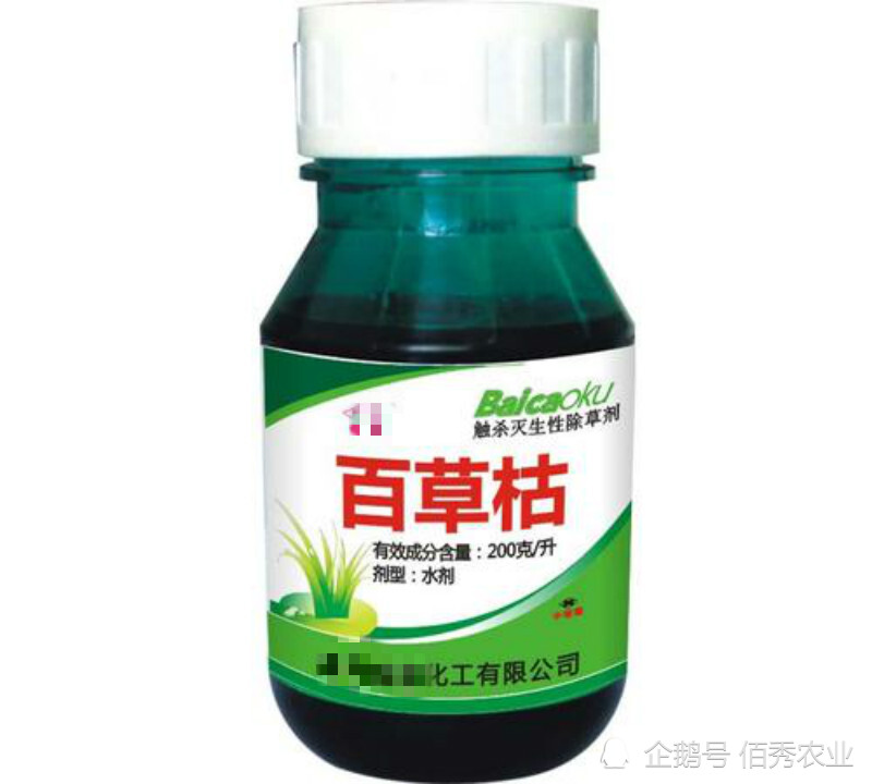 除草剂百草枯对人体剧毒,优点明显缺点致命,假货更需要警惕