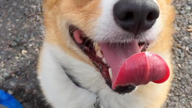 0?fmt=jpg&size=27&h=360&w=640&ppv=1