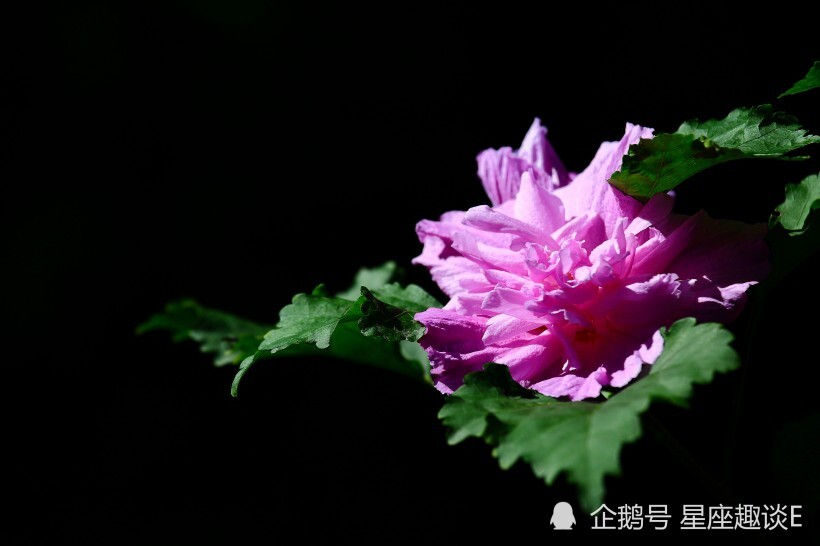 9月21日 27日星座运势 白羊独立自主 狮子激情四射 射手突破瓶颈 天天要闻