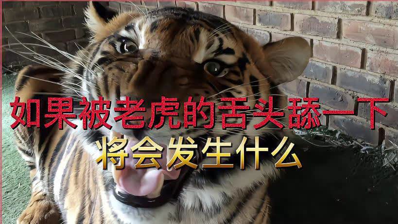 0?fmt=jpg&size=67&h=461&w=819&ppv=1