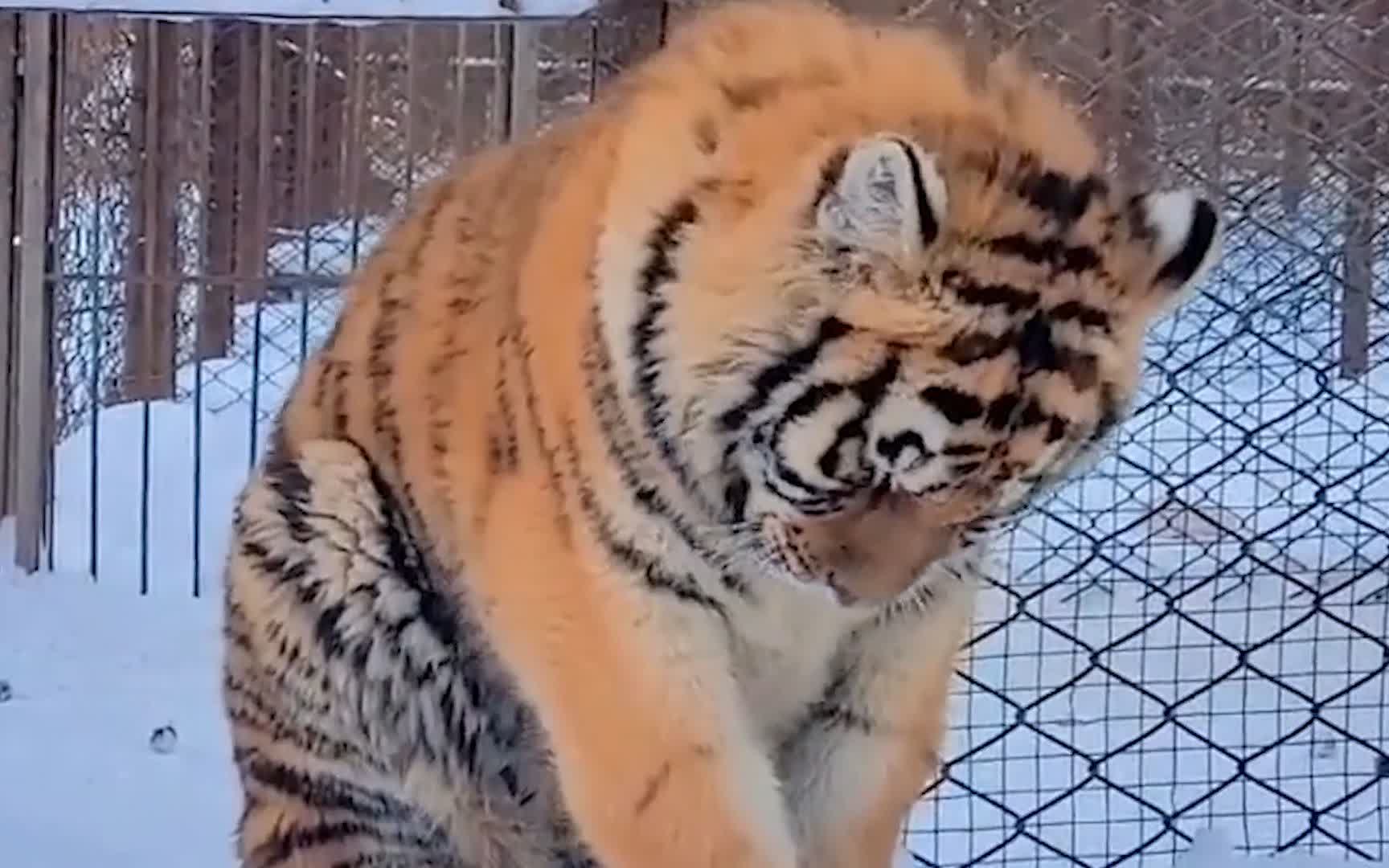 0?fmt=jpg&size=105&h=1080&w=1728&ppv=1