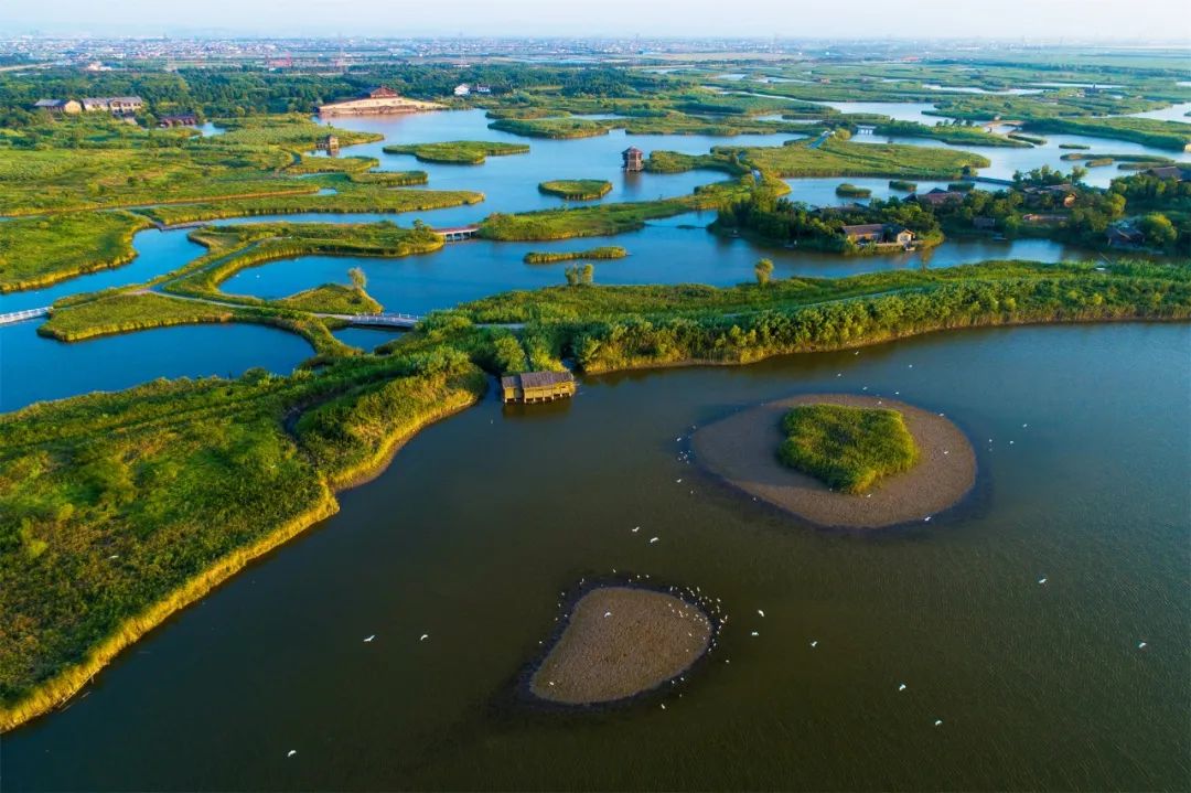 宁波杭州湾国家湿地公园实际上杭州湾新区发展由来已久.