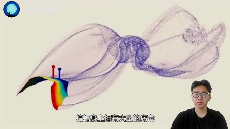 0?fmt=jpg&size=23&h=449&w=800&ppv=1