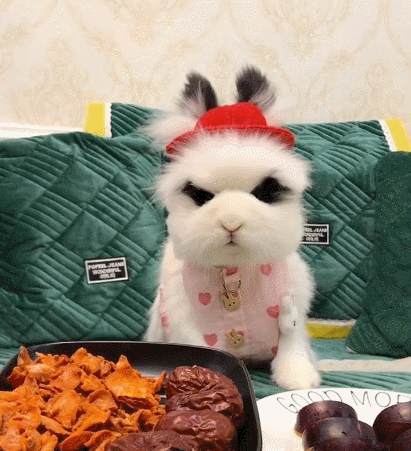 阅读全文 点赞             寂寂花时闭院门,美人相并立琼轩.