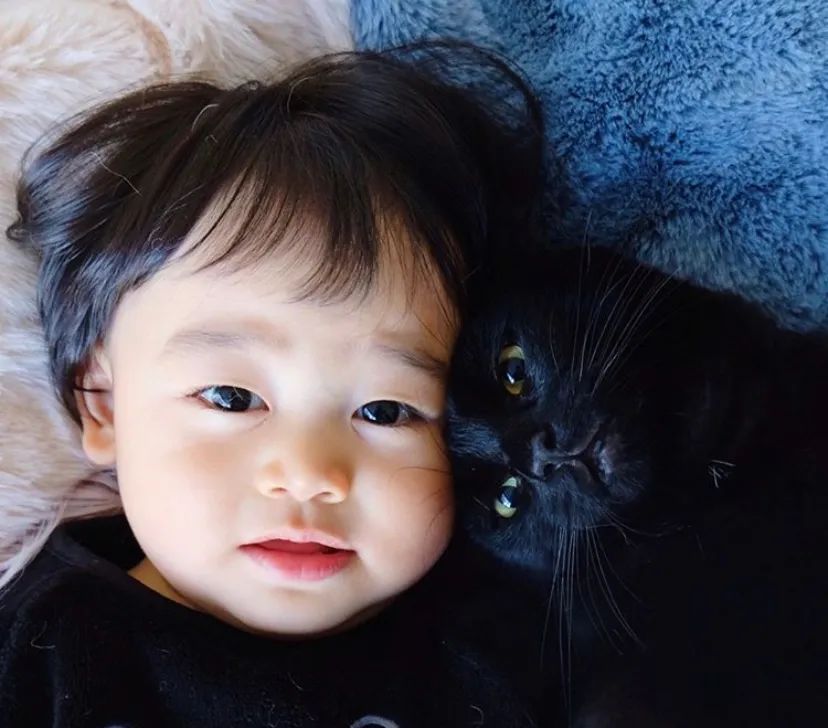 Did You Know That There Is An International Black Cat Day Reject Prejudice Take A Look At These Cute Black Cat Bloggers Daydaynews For a lot of historical settings and cultures, black cats were actually related to positive things. daydaynews cc