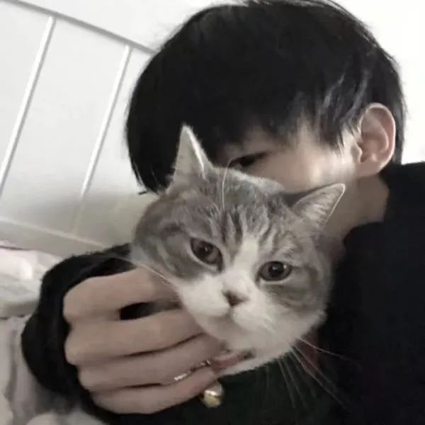 帅气抱猫男生头像