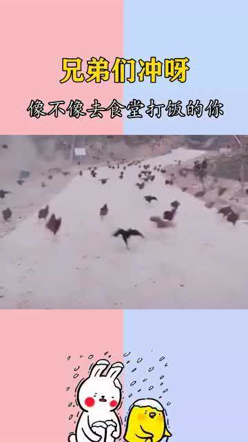 恶搞视频去黑洞，恶搞视频突然蹦出鬼