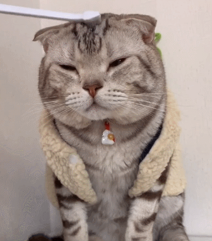 阅读全文 点赞             旧时微风拂暮城爱搞笑 关心本