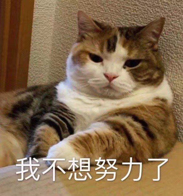 一波沙雕表情包点赞秒拿图