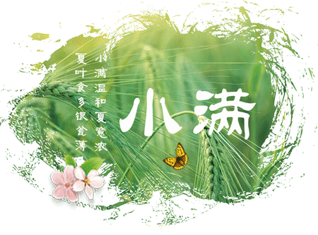 小满,苦瓜