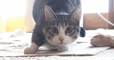 Q Tbn 3aand9gcspkdlqi6xrjqqcukxgfh Sew Pyxh67s69ya Usqp Cau