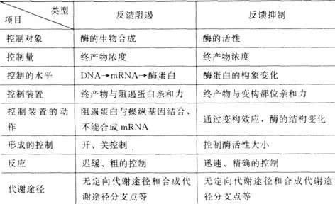 天天快报