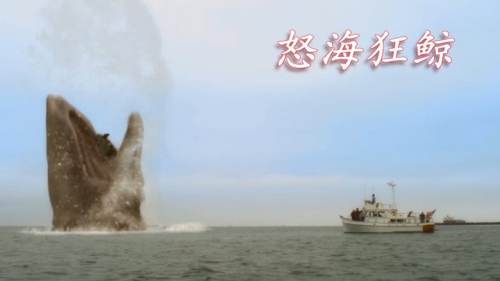 梦境奇缘，黑鲸之恩，鱼宝宝之喜——解析昨夜梦中的救赎与新生