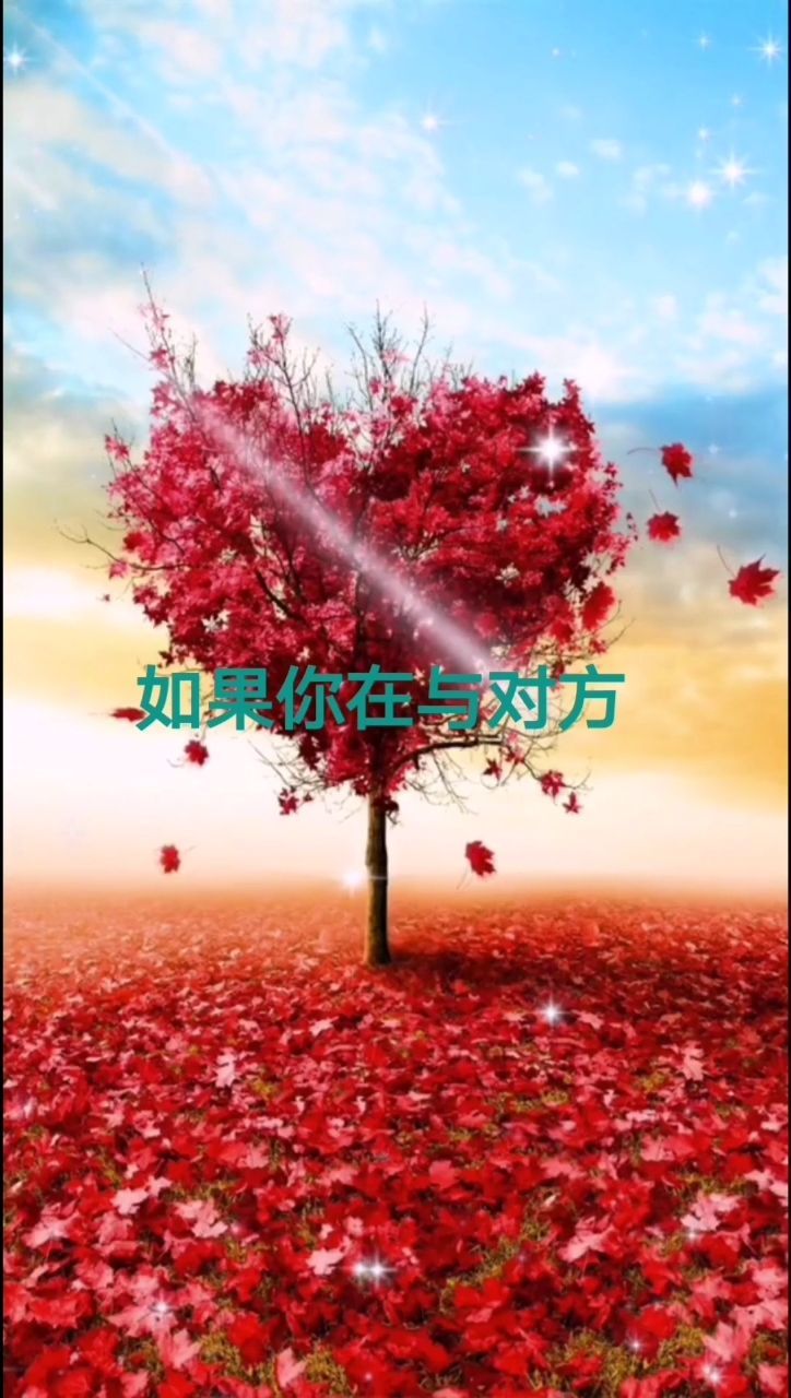 0?fmt=jpg&size=132&h=1280&w=724&ppv=1
