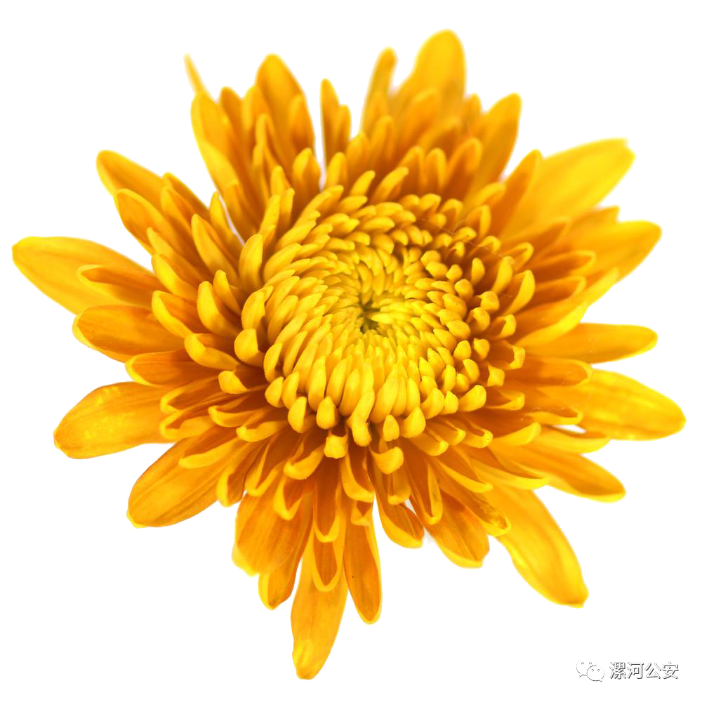 無料ダウンロード6月26日出生的人 最高の画像新しい壁紙dhd