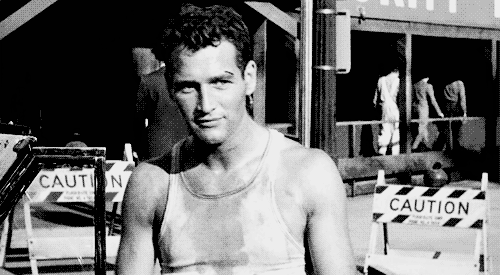 陪跑22年的小李子