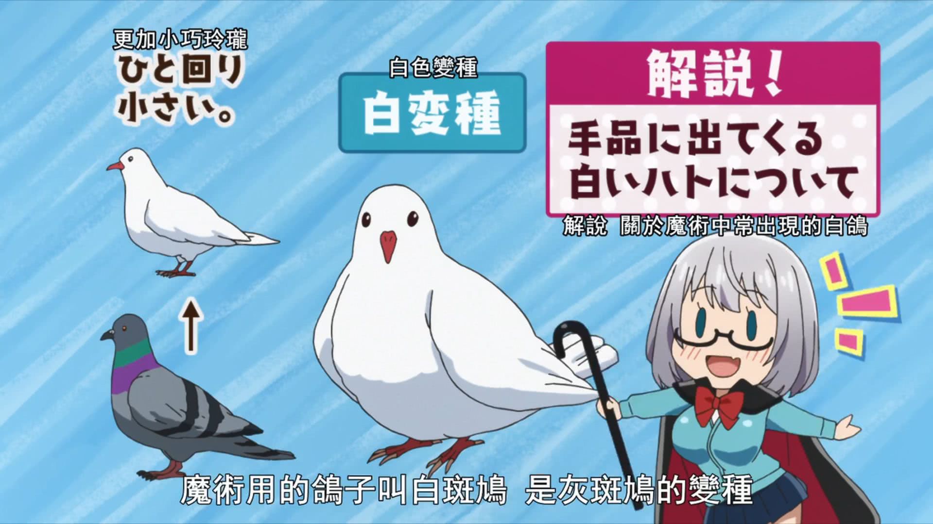 七月新番推荐 魔术学姐 呆萌魔术师的逗逼魔术之旅 看点快报