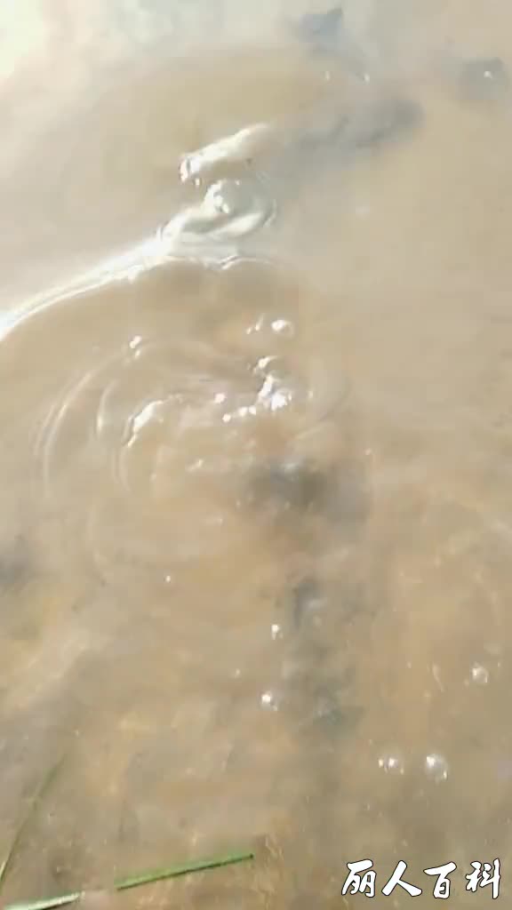 0?fmt=jpg&size=23&h=1024&w=576&ppv=1