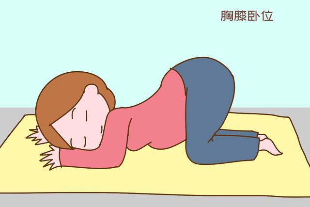 孕妈,胎位,胎儿,顺产,孕周
