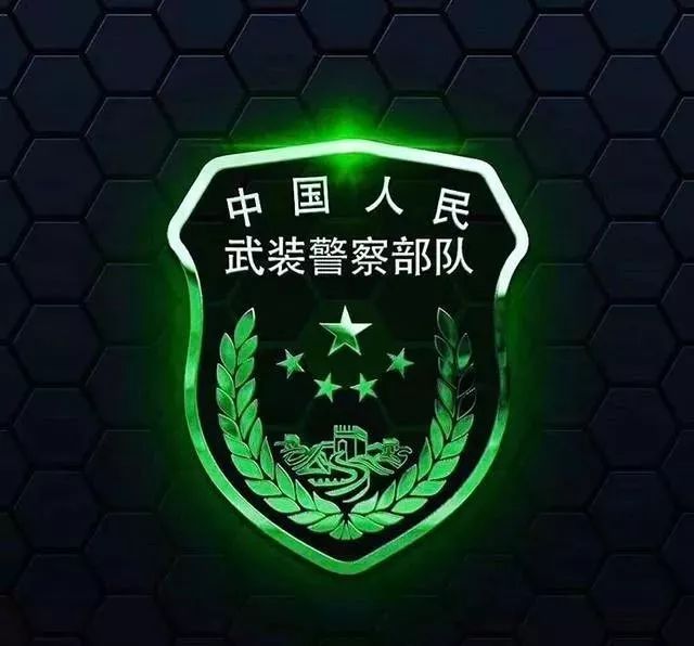 中国人民解放军空军,战略支援部队,武警部队,海军,特种部队,空军,臂章
