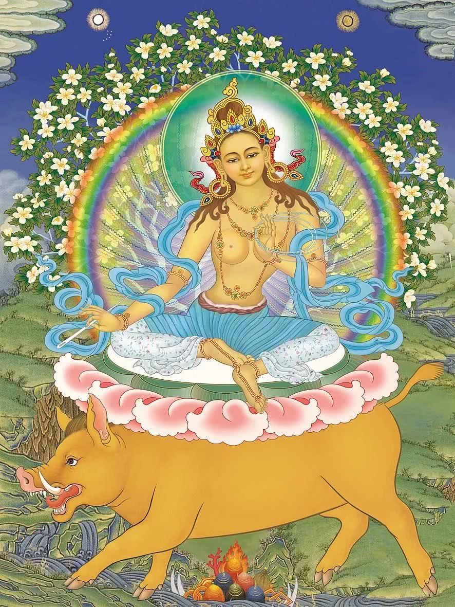 佛菩萨们的坐骑,有狮子,大象……还有猪!