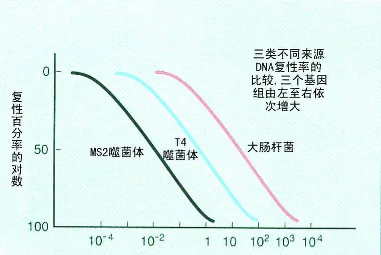 天天快报