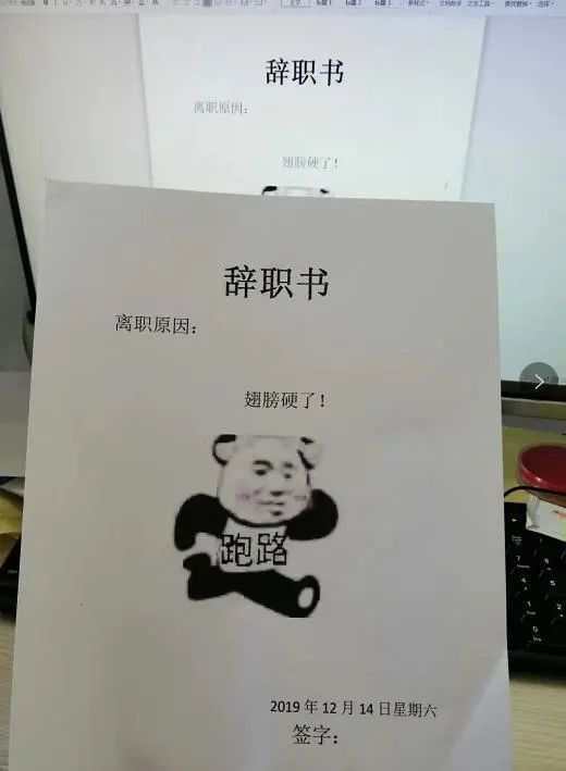 辞职,搞笑,表情包