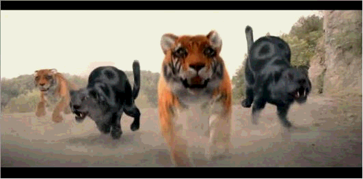 我们看看包租婆的狮吼功.