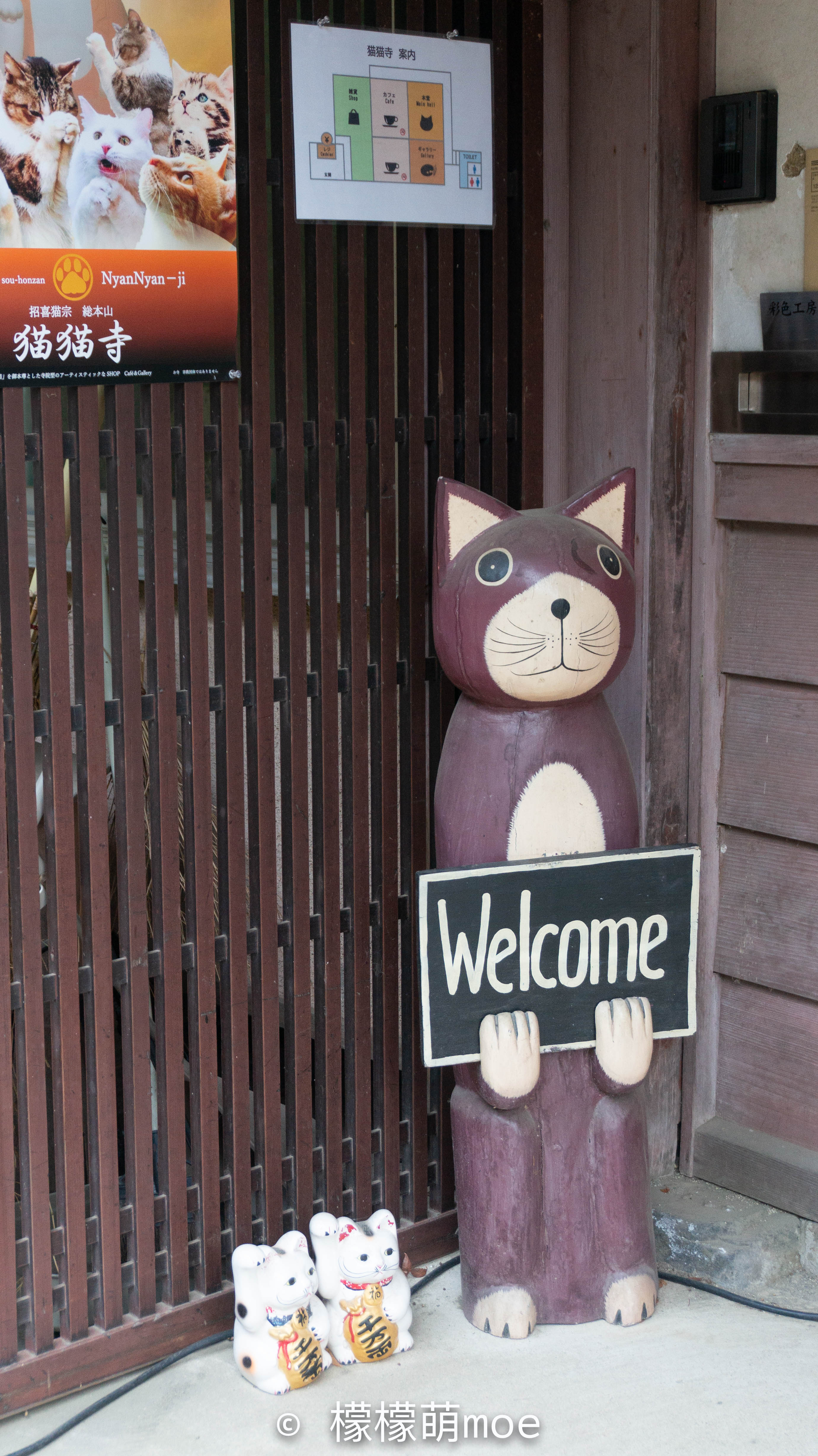 日本旅行记 小男孩画猫火遍全球 建了个猫猫寺 养活一家子 看点快报