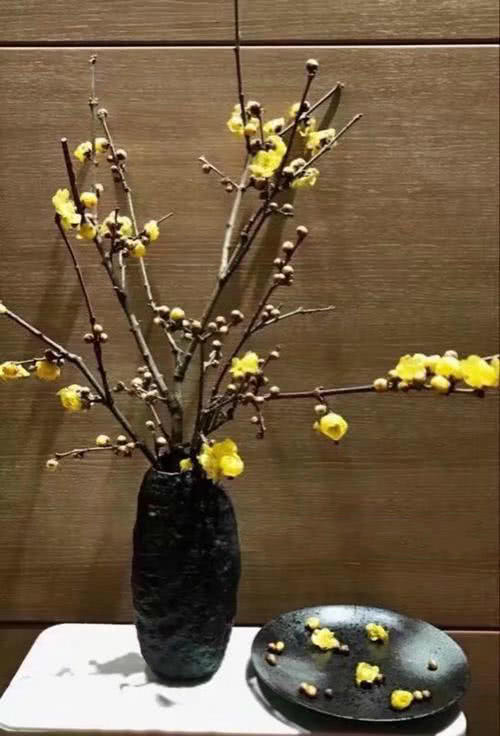 未来半个月 这6种花要涨价 人人抢着买 看点快报